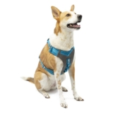 Kurgo Journey Air Dog Harness, X-Large, Blue