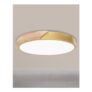 LED Ceiling Light Panel 50W 5000LM Gold 50cm