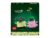 LEGO BOTANICALS Rocking Plants Play Set – Medium