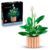 LEGO Botanicals Peace Lily – Artificial Potted Plants Set for Adults – incl. Faux White Flowers & Buds for Living- 11504