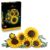 LEGO Botanicals Sunflower Bouquet – Artificial Flowers Set for Adults – Faux Sunflowers & Eucalyptus 11502