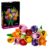LEGO Botanicals Tulip Bouquet