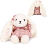 Lam Hub Fong Personalised Bunny Plush Ornament Custom Name Stuffed Rabbit Keepsake Decor Soft Plush Figurine for Home Table Display Memorial Birthdays Anniversaries (B2)