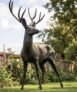 Life Size Ryder Deer Sculpture – Facing Left