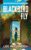 Lise McClendon – Blackbird Fly: a novel of suspense, loss, and discovery (Bennett Sisters Book 1) Kindle Edition