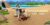 Little Friends: Puppy Island – Nintendo Switch game