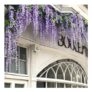 Living & Home, 12 Pieces Artificial Purple Wisteria Hanging Vines Free P&P