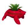 Lobster Succulent
