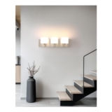 LumiZhen 3-Light Vanity Light, Brushed Nickel, Frosted Glass Shades