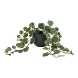 M&S Artificial Trailing Eucalyptus in Ceramic Pot, Grey