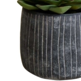 M&S Succulent in Ridged Cement Pot, Green