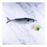 Mackerel 1kg Fish
