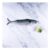 Mackerel 1kg Fish