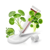 Madecassoside Time Reverse Centella Moisturiser Face Cream for Women