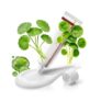 Madecassoside Time Reverse Centella Moisturiser Face Cream for Women