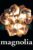 Magnolia (1999) Film To Buy