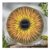 Mason & Jones Solar Powered Metal Sun Wall Art