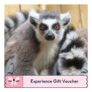 Meet the Animals Experience Gift Voucher