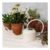 Metal Watering Can (1 L) – Stone Grey