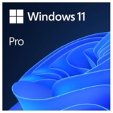 Microsoft Windows 11 Pro Lifetime License (One-Time Purchase / One Device)