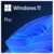 Microsoft Windows 11 Pro Lifetime License (One-Time Purchase / One Device)