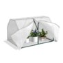 Mini Greenhouse