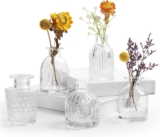 Mini Vases Clear Small Vase Set of 5 Bud in Bulk Small Glass White Crystalline Material Different Shape Modern Cute Tiny EylKoi Different Shape Vintage for Flowers Glass Bud for Home Table Wedding