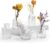 Mini Vases Clear Small Vase Set of 5 Bud in Bulk Small Glass White Crystalline Material Different Shape Modern Cute Tiny EylKoi Different Shape Vintage for Flowers Glass Bud for Home Table Wedding