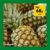 Morrisons Pineappple – in store