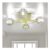 Mount Ceiling Light 4-Light Chandelier