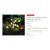 Mushroom Garden Stake Lights Set of 10 – £9.99 a Set or £12 for 2 Sets