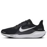 NIKE Pegasus 41 6UK