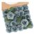 N&T NIETING Artificial Roses, 25pcs Real-Touch Foam with Stem