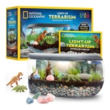 National Geographic Dinosaur Terrarium Kit with Real Plants