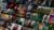 Netflix 2 Weeks Free Trial all tiers – Germany Only (via VPN)