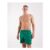 Nike 5 Inch Volley Swim Shorts in Green