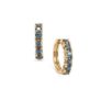 No Heat Montana Green Sapphire Earrings in 9K Gold 0.95ct