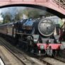 North Yorkshire Moors Railway day rover adult ticket / two adults £40.98 w/ code kids go free
