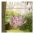 OUTSUNNY Hammock Hanging Rope Chair Swing w/Cushion 100KG