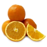 Oranges 5 Pack