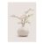 Oriental Flower in Cream Pot