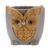Owl Weather Resistant Planter