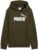 PUMA Boys Ess 2 Color No. 1 Logo Hoodie Fl B Hoodies (pack of 1)