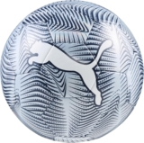 PUMA FINAL Graphic