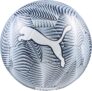 PUMA FINAL Graphic