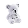 Paint Your Own Teddy Bear Money Box