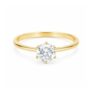 Paris Ring – Gold or Silver