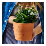 Personalised Friendship Flower Pot