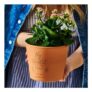 Personalised Friendship Flower Pot