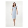 Petite Crepe Embellsihed Pencil Dress